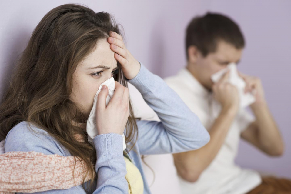 В Стара Загора бе обявена грипа епидемия.  Временни противоепидемични мерки се въвеждат за периода от 17 до 23 януари. Учебният процес ще бъде преустановен,...