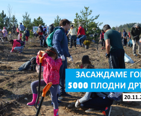 Инициатива на Гората.бг: Засаждат 5000 плодни дръвчета между Ямбол и Сливен