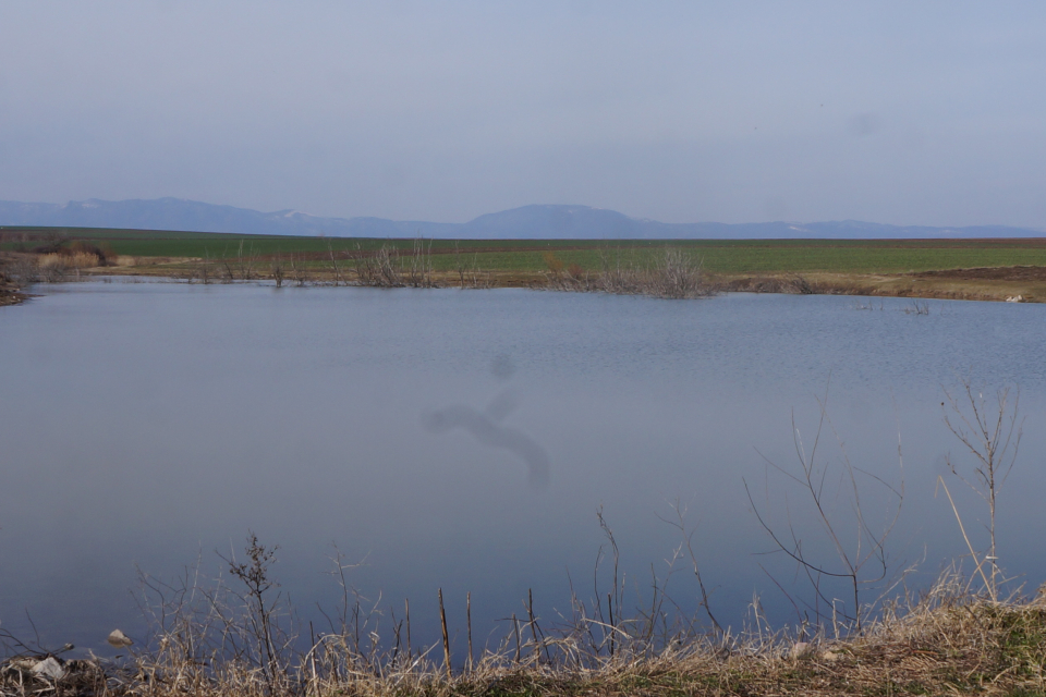 На три каскадни язовира в община „Тунджа“ - в Стара река, Могила и Асеново, са извършени замервания за предотвратяване на  потенциални наводнения. Замерванията...