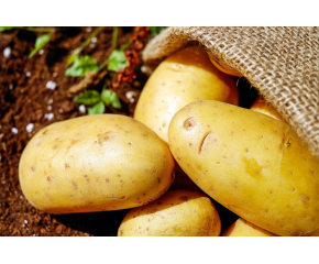 Картофи, краставици и кайсии са поевтинели драстично през юли