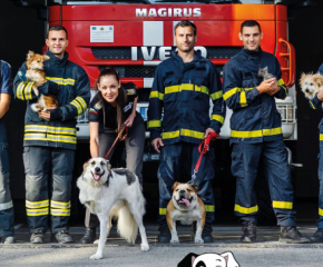 Казанлъшки пожарникари позират за календар в помощ на бездомни животни