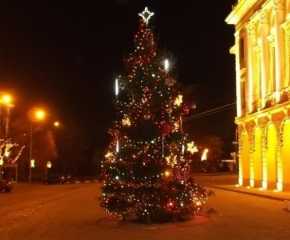 Коледната елха в Сливен грейва на 7 декември