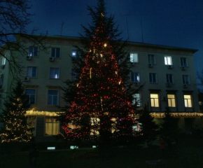 Коледните светлини на елхата пред административната сграда на община „Тунджа“ ще грейнат днес 