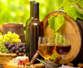 Конкурс за най-добро домашно бяло и червено вино, ракия и пелин в Стралджа