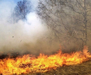 Котленски пожарникари са спасили от пожар 60 декара гора край село Градец