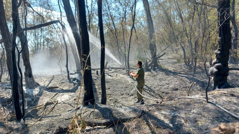 Локализиран е пожарът до военния полигон край Казанлък. Днес военните продължават да гасят огъня. На място са 114 военни с осем машини, оказват съдействие...