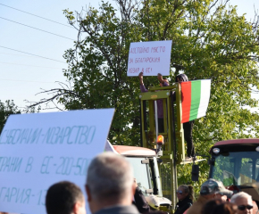 Лозари излизат на протест в Пловдив, Монтана, Плевен, Харманли и Поморие 