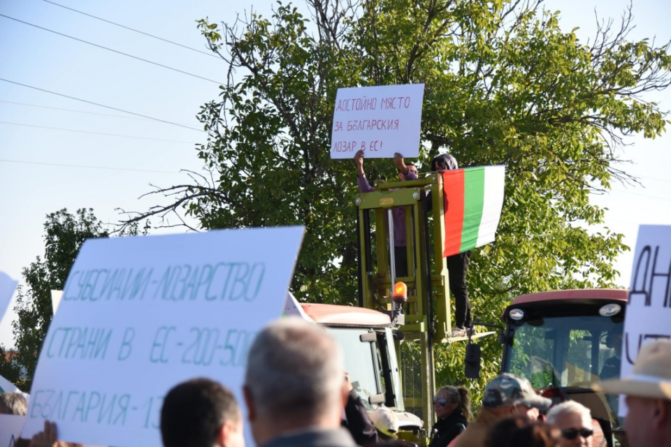 Протести, организирани от Национално сдружение на българските лозари, ще се състоят днес в пет града у нас. Това са Пловдив, Монтана, Плевен, Харманли...