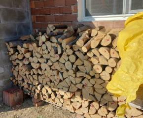 Масови акции на Агенцията по горите и МВР за незаконни дърва за огрев се провеждат в цялата страна