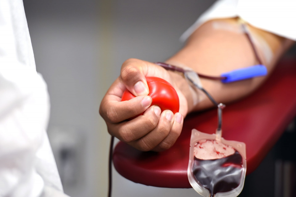 Ямболските червенокръстци и Отделението по трансфузионна хематология в МБАЛ „Св. Пантелеймон“ организират кръводарителска акция. Доброволческата инициатива...