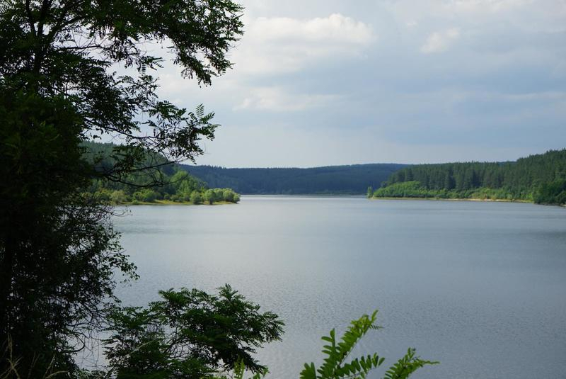 Девет от язовирите за питейно-битово водоснабдяване са с ниски нива в сравнение с предходни години, съобщават от Министерството на околната среда и водите....