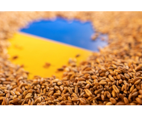 МС отмени националната забрана за внос на украински стоки