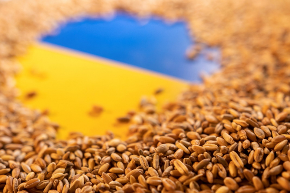 Министерският съвет взе решение за отмяна на националната забрана за внос на определени стоки с произход от Украйна.
Премахването на националната забрана...