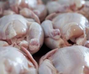 Над 100 тона пилешко месо са заразени със салмонела на българския пазар 