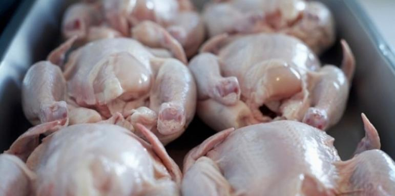 Най-малко 100 тона пилешко месо със салмонела от Полша са стигнали до българския пазар, признаха от Агенцията по храните. Част от месото е иззето, засега...