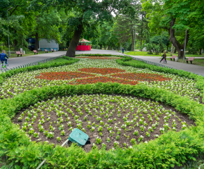 Над 31 000 цветя ще бъдат засадени в Ямбол