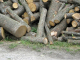 Незаконен добив на дърва е установен в Сливен