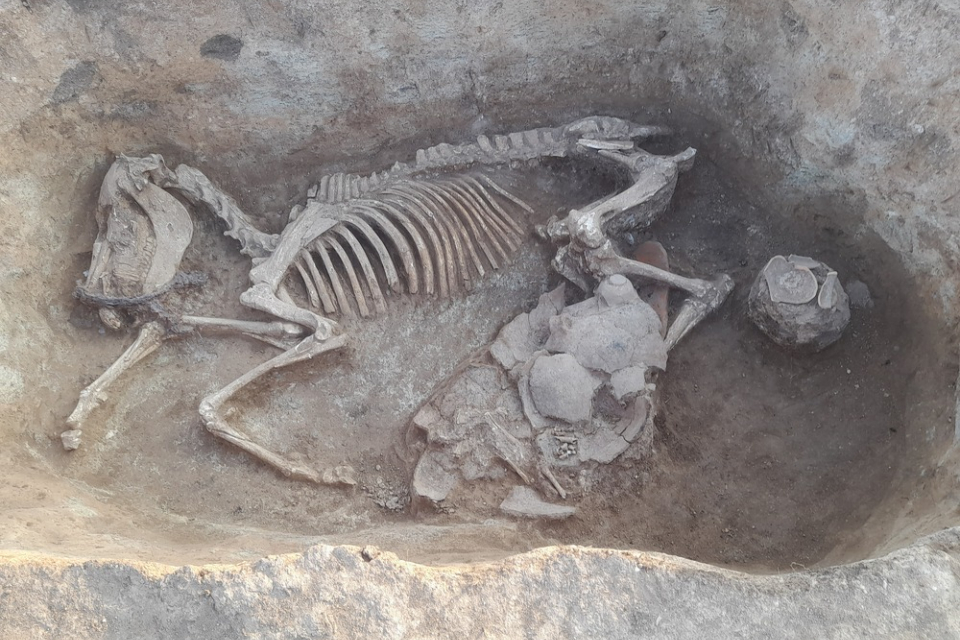 Нови открития бяха направени почти в края на археологическите проучвания за тази година на т.нар. Голяма могила от некропола край новозагорското село Прохорово....
