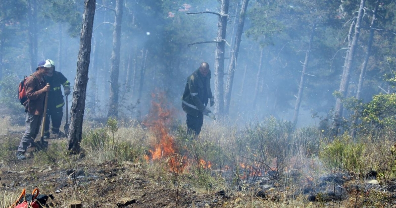 Четири противопожарни екипа и горски служители гасят пожар в землището на село Градец. Сигналът е получен днес в 13,06 часа, съобщиха от ОДМВР - Сливен....
