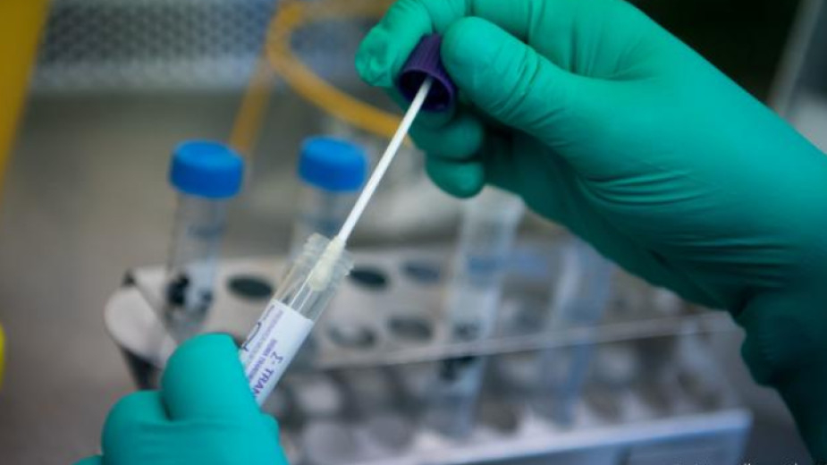 След сигнали от граждани данъчните власти проверяват за евентуални нередности лабораториите, в които се правят тестове за коронавирус, предаде БНР.
Пред...
