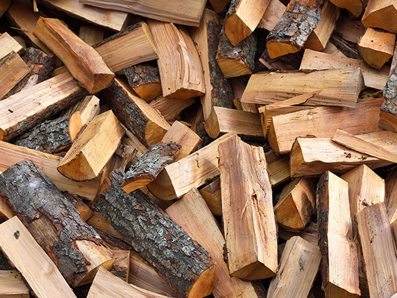Добивът на дърва за населението в община Болярово за следващия отоплителен сезон ще започне още от януари 2023 г. с цел навременни доставки. Дървата за...