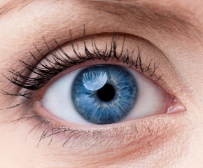 Община Сливен излиза с анкета относно закупуването на апарат за ранна диагностика на очни заболявания