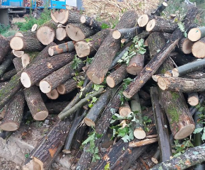 Община Сливен предоставя дърва за огрев на хора в неравностойно положение
