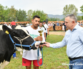Община Сливен предоставя над 50 хиляди декара на животновъдите в района за пасища