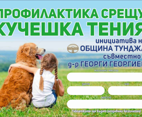 В община Тунджа организират информационни срещи за профилактика и предпазване от кучешка тения