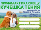 В община Тунджа организират информационни срещи за профилактика и предпазване от кучешка тения