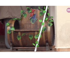 Община Тунджа се готви за Празника на виното