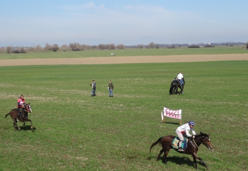 Общински пролетен празник на коня и конния спорт ще се състои на 11 март край ямболското село Тенево. Конните надбягвания започват от 11:00 часа, съобщи...