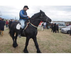 Общинският празник на коня и конния спорт събра стотици в с. Тенево