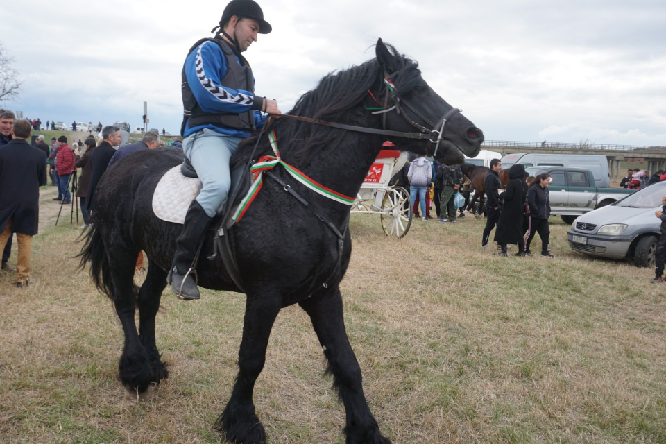 Общинският празник на коня и конния спорт събра на 11 март стотици в местността „Герена“ на с. Тенево, дошли да споделят емоцията от оспорваните конни...