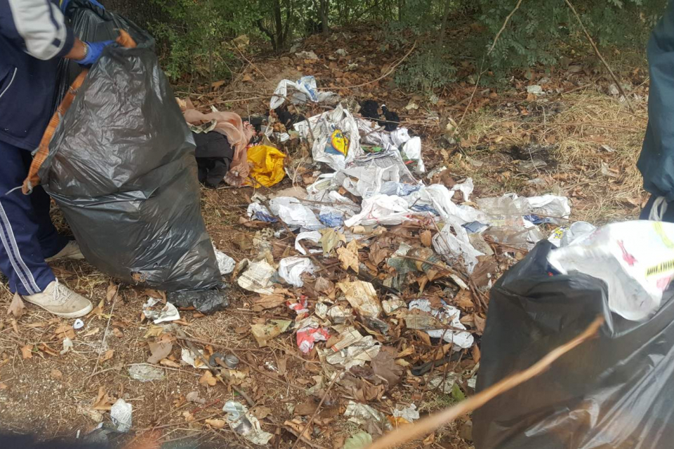 Служители на Общинско предприятие „Паркове и зони за отдих“ почистват незаконни сметища на територията на община Ямбол. Те вече разчистиха струпани отпадъци...