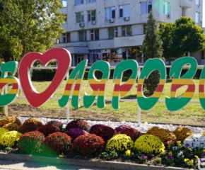 Общинско транспортно звено обмислят да правят в община Болярово