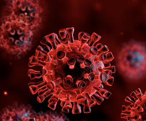 Общият брой на заразени от коронавируса е 611 души у нас