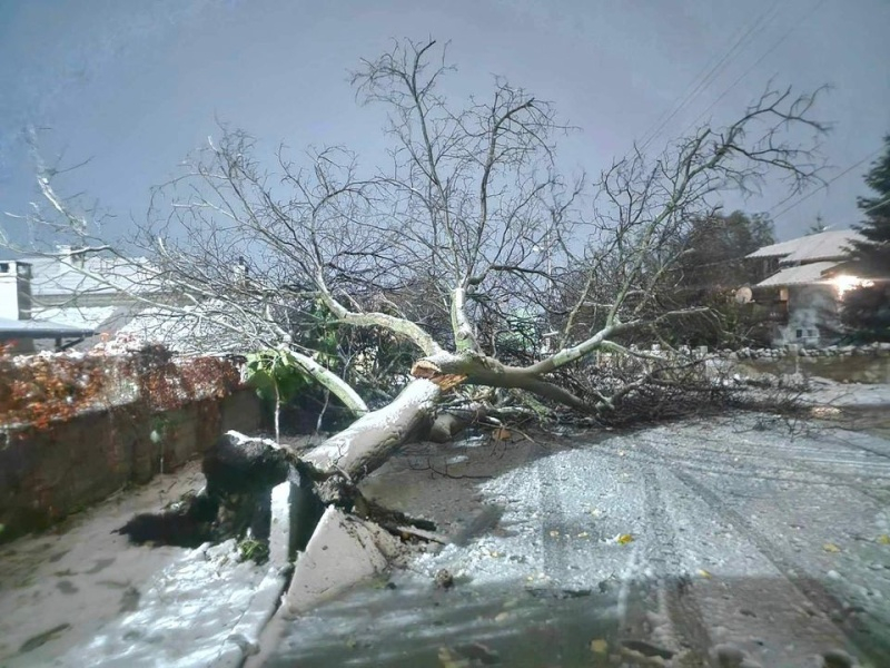 Бедствено положение е обявено в община Варна заради силния ураганен вятър и валежи.
"Тежката метеорологична обстановка доведе до загубата на човешки живот....