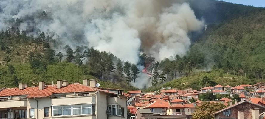 Овладян е пожарът, който обхвана в четвъртък местността Бармук баир край Сливен. Това съобщи за БТА главен инспектор Димитър Сяров, началник сектор „Превантивна...