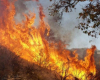 Огънят в землищата на селата Раздел и Малко Кирилово се е разгърнал на площ около 3500 дка 