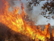 Огънят в землищата на селата Раздел и Малко Кирилово се е разгърнал на площ около 3500 дка 