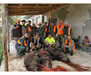 Открит бе груповият лов за дива свиня
