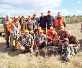 Откриват груповия лов на дива свиня и местен дивеч