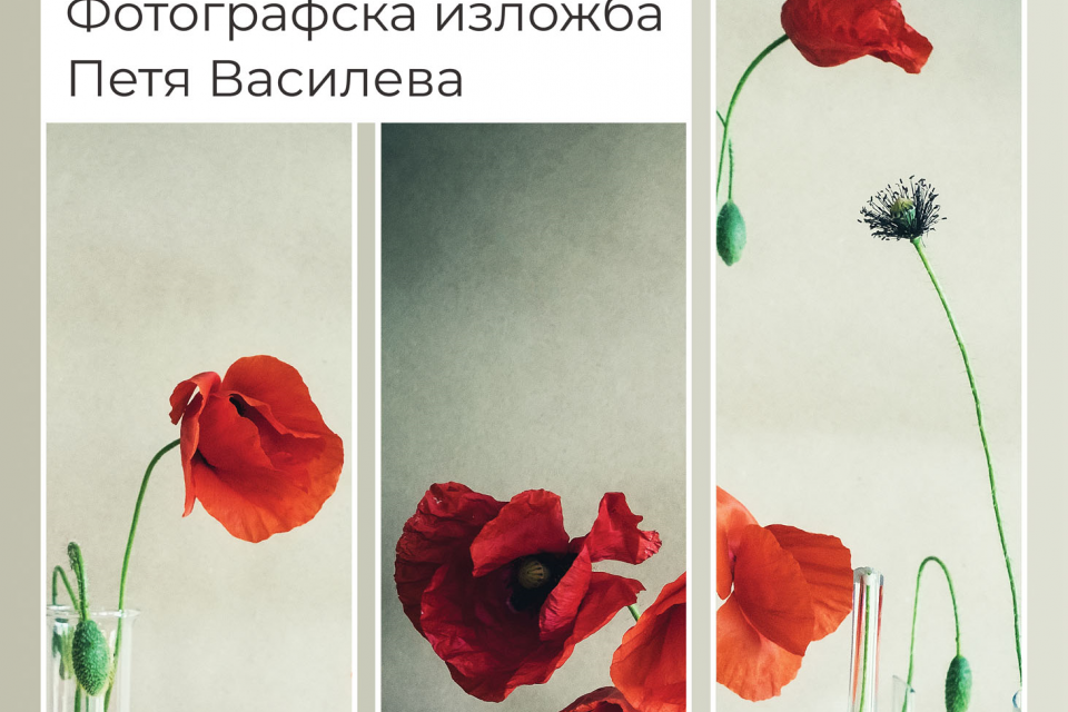 В навечерието на поредния Маскараден фестивал „Кукерландия“ Петя Василева, фотограф, идеен автор и концептуалист, открива своята четвърта самостоятелна...
