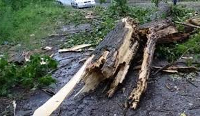 Пламнали комини и паднали дървета в Сливен