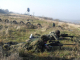 Планираните стрелби за юли на огневи комплекс „Батмиш“ край Сливен започват днес