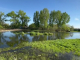 Почистват коритото на река Тунджа, нейните притоци и дерета на територията на община Елхово