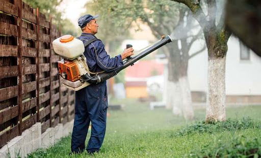 От днес служители на община Стралджа започват подборно пръскане срещу гъсеници в града. Препаратът, с който ще се третират само поразени дървета е инсектицидът...