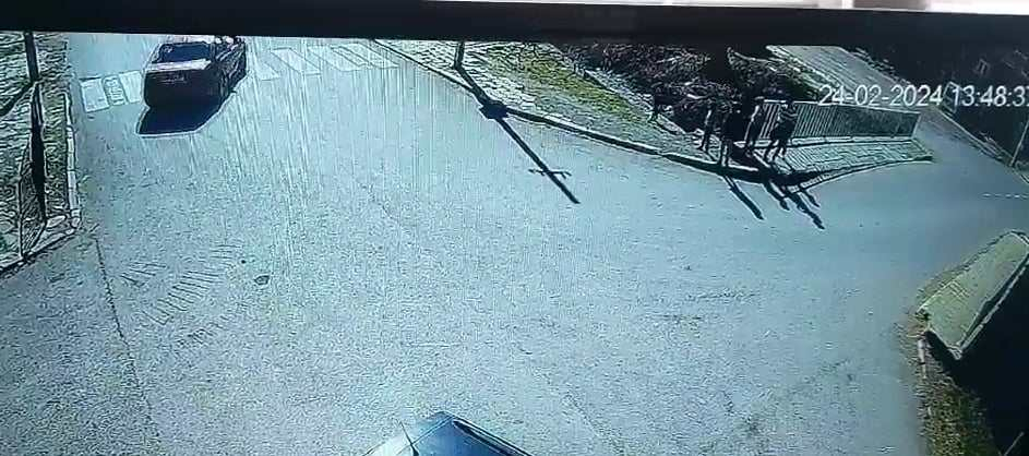 В началото на тази седмица е получен сигнал за опасно шофиране в сливенското село Сотиря. Сигналът е подаден от граждани, които са били притеснени от опасното...