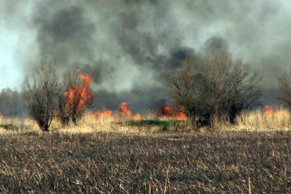 Потушен е пожарът, пламнал в обедните часове, в близост до пътен възел "Петолъчката".
Огънят пламна по-рано днес в сухи треви и храсти, като предизвика...